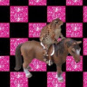 Meet your Posher, Calvin